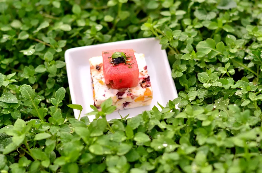 Ein künstlerisch zubereitetes Gourmet-Gericht auf einem weißen Teller, umgeben von lebendig grünen Kleeblättern. Das Gericht besteht aus Schichten von cremigen Früchten oder Gemüse, bedeckt mit einer roten geleeartigen Substanz und garniert mit einer kleinen grünen Blattgarnitur.
